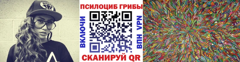 Галлюциногенные грибы Cubensis Новая Усмань